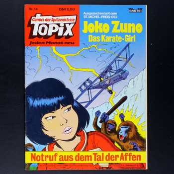 Topix Nr. 14 Bastei Comic