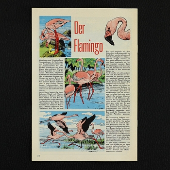 Felix mit Bessy Nr. 304 Bastei Comic