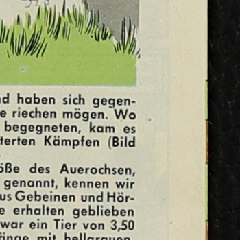 Felix mit Bessy Nr. 328 Bastei Comic