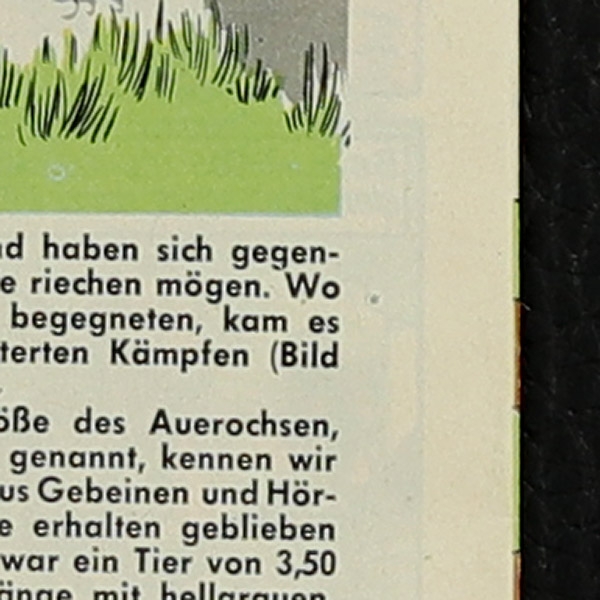 Felix mit Bessy Nr. 328 Bastei Comic